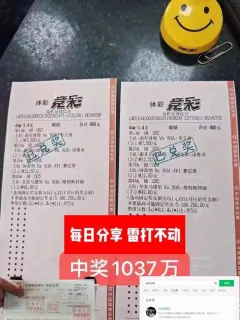 庾芝芳
